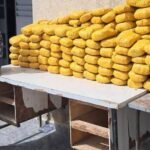 Niger : Découverte de 598 kg de stupéfiants à Zinder