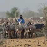 Birnin Konni : Deuil et Réaction Sécuritaire après le Massacre