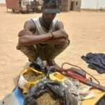 Agadez : Saisie d&rsquo;un transport de cannabis à Ingall par les FDS