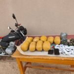 Ingall : Saisie de cannabis et de tramadol par la Garde nationale
