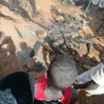 Niger : Grande attaque terroriste à l’aéroport de Niamey, 13 victimes et 22 assaillants éliminés